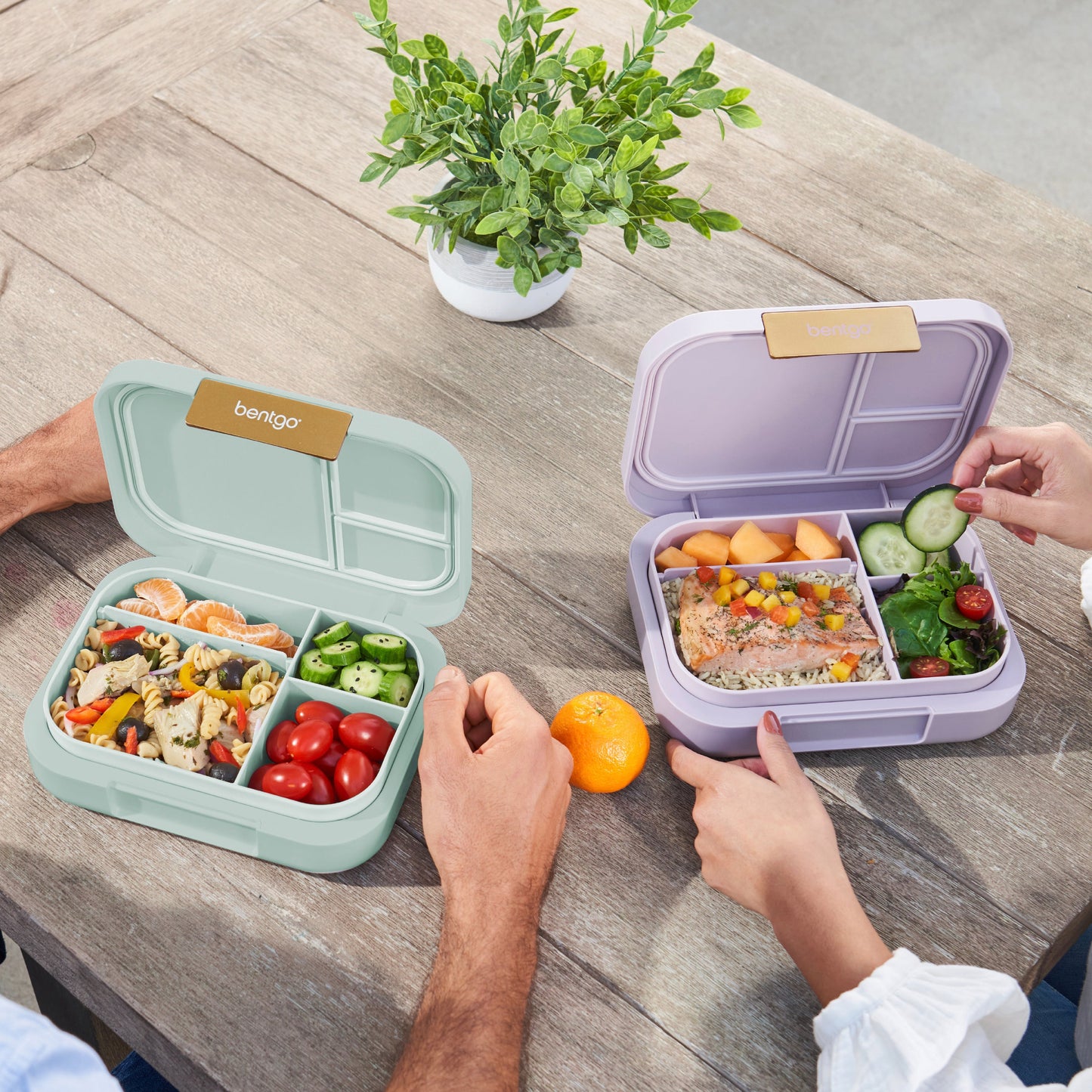 bentgo-modern-lunch-box-2-pack-w1 COSTCOBMCPRODUCTIMAGE_2.jpg